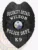 Detailed custom black police badge for Wilson Security Detail, featuring an eagle crest, white letters stating "SECURITY DETAIL WILSON POLICE DEPT." around the state seal of Florida, and a "K9" label on the bottom plate, attached with a safety pin.