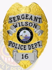 Gold police badge for Wilson Police Sergeant, showing an eagle at the top and silver text ribbons with "SERGEANT WILSON POLICE DEPT." and the badge number "16," centered around the Florida state emblem, with a metal safety pin on the back.