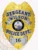 Gold police badge for Wilson Police Sergeant, showing an eagle at the top and silver text ribbons with "SERGEANT WILSON POLICE DEPT." and the badge number "16," centered around the Florida state emblem, with a metal safety pin on the back.
