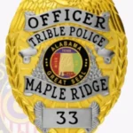 Badge Design Tool view 2
