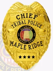 a gold badge with black text tribal police eagle top reef edge long photo 3-C11CB Buy Custom Badges And Design, Create, Build and Order Personalized Badges and Customized Badges Tribal Police Badges Gold Silver Badges C