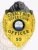 A custom metal badge in gold with black bear top and safety pin attachment, prominently displaying "Cobbly Nob Supervisor" and "OFFICER." The badge features the state emblem of Tennessee, surrounded by intricate designs that enhance its authoritative appearance.