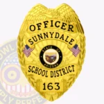 Classic Eagle Top Badge with Sunburst Background, 4 Panels, Reef Border view 1