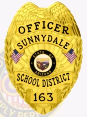 A custom metal badge in gold, designed for school district officers. The badge prominently displays 'OFFICER SUNNYDALE SCHOOL DISTRICT 163' in bold lettering. It features the state seal of Arizona at the center, surrounded by intricate eagle wing details and small flags, highlighting its official and personalized design.