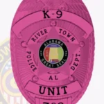 Traditional Shield Badge with Eagle Top, 5 Point Star Center view 5