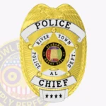 Traditional Shield Badge with Eagle Top, 5 Point Star Center view 1