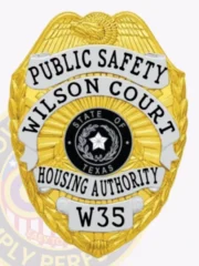 A custom metal badge with a gleaming gold finish and silver panels is showcased here, prominently displaying "PUBLIC SAFETY." The safety pin attachment ensures easy and secure wear, making it an excellent choice for law enforcement officers who need to exhibit their credentials confidently.
