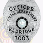 Professional Eagle Top Badge with Reef Center, Starburst Background, 4 Text Panels, Laurel Edge view 5
