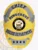 Custom police metal badge in gold oval shape for Pinecrest chief, displaying a sunburst pattern in gold with silver scrolls containing black lettering reading "CHIEF," "PINECREST," and "POLICE DEPARTMENT," topped by a silver plate with four black stars and centered around the Maine state seal.