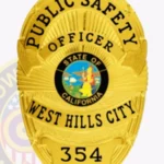 Public Safety Badge 5-D10PSB view 2