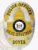 Oval silver custom flex badge with a gold Capitol building and Delaware state seal at its center, accented by three yellow banners labeled "POLICE OFFICER" on top, "POLICE DEPARTMENT" in the center, and "DOVER" at the base, designed for Dover Police and featuring a safety pin.