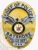 Custom gold oval metal badge for Bayshore police chief of police with safety pin attachment, displaying a silver eagle centered on a bright gold radiating background, black and silver banners with text "CHIEF OF POLICE," "BAYSHORE," and "POLICE DEPT.," including the State of New Jersey seal and three stars at the bottom.