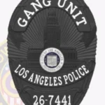 Modern Oval Badge with Building Center, 3 Text Panels, Sunburst Background, Ribbon Border view 4