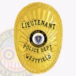 Modern Oval Shield with Background Rays, 3 Text Panels, Reef Edge Badge view 1