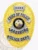 Oval gold metal badge designed for Lakeshore Police chief of police with safety pin attachment, showing a detailed laurel wreath edge in gold, radiant sunray design, silver scrolls with bold black lettering stating "CHIEF OF POLICE," "LAKESHORE," and "POLICE DEPT.," centered around the Florida state emblem.