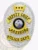 Silver oval custom metal badge for Lakeshore police deputy chief, highlighted by embossed laurel leaves around the edge, radiant sunburst design, gold banners featuring black text "DEPUTY CHIEF," "LAKESHORE," and "POLICE DEPT.," with a three-star gold plate above and the State of Florida seal centered.