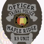 Police Badge Patch B3-C11 view 4