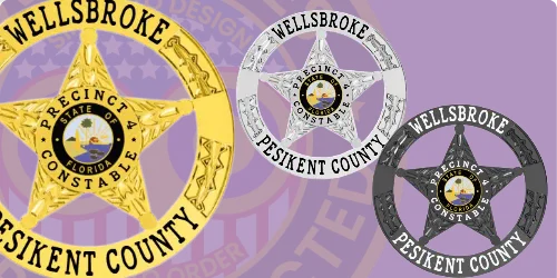 Three custom constable badges displayed in various finishes: a vibrant gold star badge labeled 'WELLSBROKE PRECINCT 4 CONSTABLE' with the state of Florida emblem at the center, a polished silver star badge also featuring 'WELLSBROKE PESIKENT COUNTY,' and a sleek black star badge with the same designation. This image illustrates how to buy custom constable badges and design, create, build, and order police constable badges online.