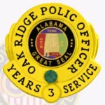 Custom Lapel Pin Badge view 2