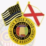 US And State Flag Lapel Pin LUS Badge view 4