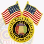 US And State Flag Lapel Pin LUS Badge view 2