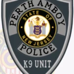 Police Patch S21-A1 view 2