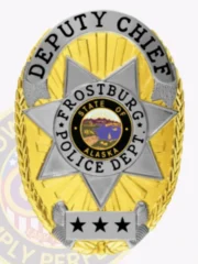 This elegant gold custom metal badge showcases silver panels and reads "DEPUTY CHIEF" in bold letters at the top. The center displays "FROSTBURG POLICE DEPT." within a star emblem, along with "STATE OF ALASKA" noted inside. The badge features three stars at the bottom and includes a safety pin attachment for easy fastening on official attire.
