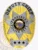 This elegant gold custom metal badge showcases silver panels and reads "DEPUTY CHIEF" in bold letters at the top. The center displays "FROSTBURG POLICE DEPT." within a star emblem, along with "STATE OF ALASKA" noted inside. The badge features three stars at the bottom and includes a safety pin attachment for easy fastening on official attire.