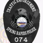 Modern Oval Badge with Eagle Center, 2 Flags, 3 Text Panels, Ribbon Border view 4