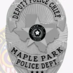 Oval Badge with Texas 5 Point Star Center, Sunburst Background, 4 Text Panels, Line Edge 11-D22TXCMB view 2