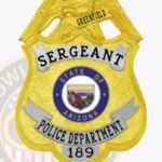 Vintage Eagle Top Shield Badge with 4 Ribbon Text Panels, Textured Background, Classic Border view 2