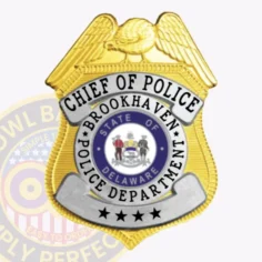 Chief of police badge for brookhaven police in gold with silver highlights, featuring a large golden eagle at the top, silver banners with black text for "chief of police" and "brookhaven police department," a circular delaware emblem in the center, and four black stars on the silver bottom panel, secured with safety pin.