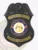 Black eagle top shield metal badge for Peach Tree Grove Police, displaying a black eagle figure at the top, yellow lettering stating "PEACH TREE GROVE," the State of Georgia seal in the center with blue and gold colors, and "POLICE DEPARTMENT" on the bottom banner, designed with safety pin attachment.