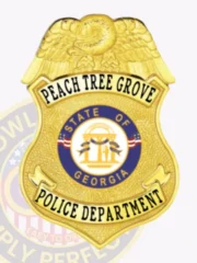 Custom gold eagle top shield metal badge for Peach Tree Grove Police with safety pin attachment, featuring a detailed gold eagle perched at the top, two curved gold banners with black text reading "PEACH TREE GROVE" at the top and "POLICE DEPARTMENT" at the bottom, and a central circular emblem of the State of Georgia in blue, gold, and white.