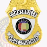 Classic Shield Badge with Eagle Top, Shield Center, Textured Background, 2 Text Panels, Line Border view 2