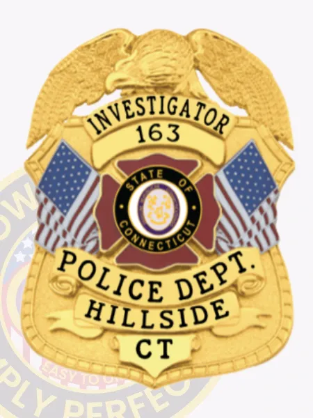 Custom gold police badge with an eagle at the top for Hillside Investigator, displaying "INVESTIGATOR 163" on the upper banner, the Connecticut state seal framed by American flags in the center, and "POLICE DEPT. HILLSIDE CT" on the bottom ribbon, designed with a safety pin attachment.