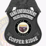 Traditional Shield Badge with Eagle Top, Textured Background, 3 Text Panels and Classic Edge view 4