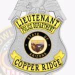 Traditional Shield Badge with Eagle Top, Textured Background, 3 Text Panels and Classic Edge view 2