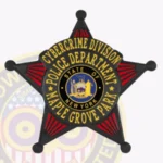 Vintage 5 Point Star with Red Stipes, Rounded Points Badge view 4
