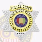 Modern 6-Point Star Shield Badge with Laurel Background, Top Ribbon, 4 Text Panels, Lined Edge view 2