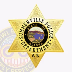 Custom gold 6 pointed star metal badge for summerville police, featuring detailed leaf-like engravings on each point, black text encircling a colorful "state of alaska" seal in the center, with "ak" on the bottom point, and a safety pin attachment.