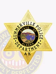 Official-looking custom gold 6 pointed star metal badge for Summerville Police, featuring black text on gold background encircling a multicolor State of Alaska seal, engraved leaf patterns on star points, and a secure safety pin attachment.