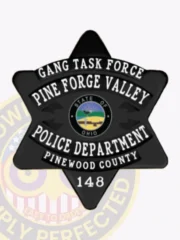 Black six-point star metal badge designed for the Pine Forge Valley Police Gang Task Force, displaying white bold lettering on a smooth black background with the Ohio state emblem in the center and a safety pin for fastening.