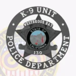 Traditional 5-Pointed Star Badge with Texture Background, 4 Text Panels, 2 Ribbons, in Circle Banner view 4