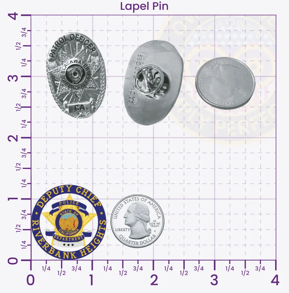 19-A1R Custom Badges And Design, Create, Build and Order Custom Badges Personalized Badges Officer Badges Mountain View Police Gold w Blue Silver Panels Lapel Pins