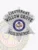 Silver six-point star badge for Willow Grove police lieutenant, showing raised black lettering "LIEUTENANT WILLOW GROVE POLICE DEPARTMENT" surrounding the Arkansas state seal in the center, with fine engraving details and a secure safety pin fastener.