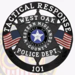Modern 6 Pointed Star Badge with Rounded Points, Flags, 6 Text Panels, Circle Banner view 4