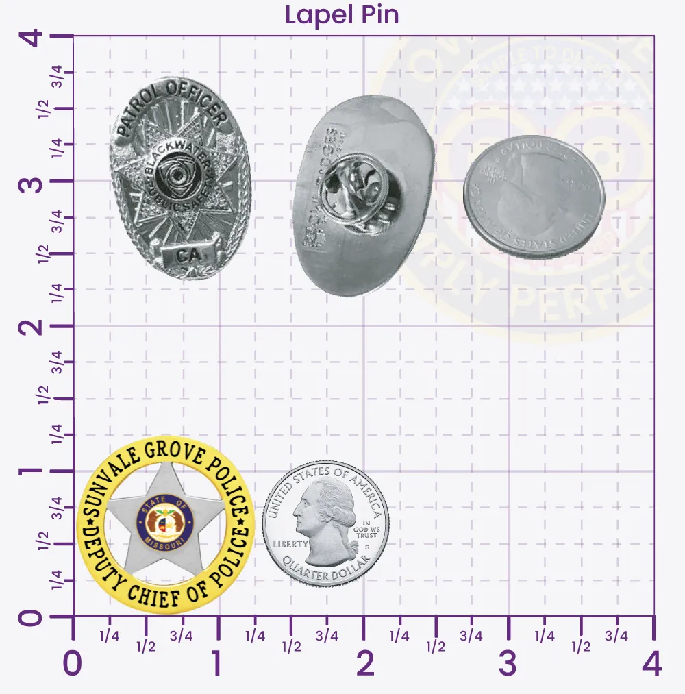 20-A16-2 Custom Badges And Design, Create, Build and Order Custom Badges Personalized Badges Officer Badges Springfield Heights Police Gold Lapel Pins