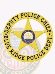 The badge depicted in this image is a custom gold metal design featuring a 5 pointed star at its center, framed by a circular banner stating "DEPUTY POLICE CHIEF" above and "BLUE RIDGE POLICE DEPT" below. The Tennessee state seal is prominently displayed in the center, emphasizing its importance. Ideal for the deputy chief of the Blue Ridge Police, this badge includes a safety pin attachment for secure display.