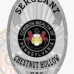 Classic Oval Shield Badge with Sunburst Background, 3 Text Panels, Lined Edge view 2